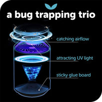 Katchy Automatic Indoor Insect Trap from Katchy sold by 961Souq-Zalka