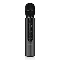 Green Lion Karaoke Microphone - GNKRKM6MICBK - Black