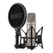 A Small Photo Of Rode NT1 5th Generation Studio Condenser Microphone - Dual Connect, 32-bit Float, XLR & USB's Color Variant