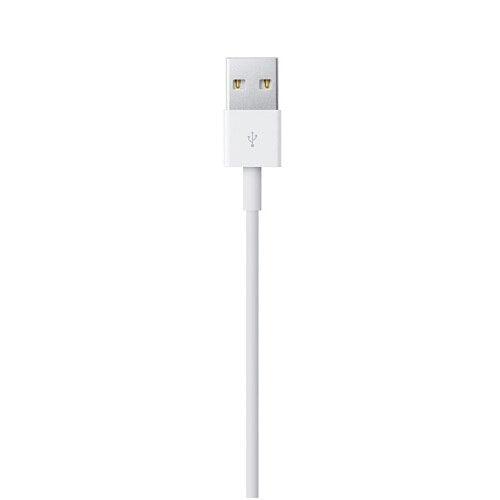 Apple Lightning to USB Cable (0.5 m), 20528849354924, Available at 961Souq
