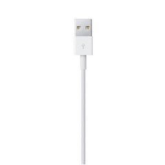 Apple Lightning to USB Cable (0.5 m) from Apple sold by 961Souq-Zalka
