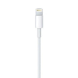 Apple Lightning to USB Cable (0.5 m) from Apple sold by 961Souq-Zalka